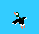 Caza al Pato