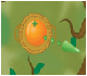 Frutas
