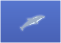 Delfines