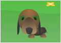 Perdi mi perro