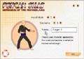 The Pencak Silat