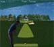 Flash golf