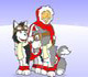 Husky racers