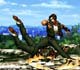 The king of fighters